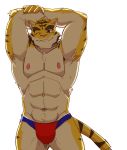  abs absurd_res anthro arms_above_head clothed clothing felid fur hi_res jumperbear male mammal morenatsu muscular muscular_male nipples one_eye_closed pantherine pink_nipples simple_background solo striped_body striped_fur stripes swimwear tiger topless torahiko_(morenatsu) video_games visual_novel white_background yellow_body yellow_fur 