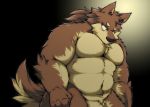  2015 anthro barazoku belly black_nose canid canine hi_res humanoid_hands kemono male mammal muscular simple_background solo suishou0602 