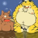  1:1 2014 anthro balls bathing belly blush brown_body brown_fur canid canine duo eyes_closed felid fur genitals hi_res kemono male mammal moobs moon navel night nipples outside overweight overweight_male pantherine penis pubes small_penis suishou0602 tiger water 