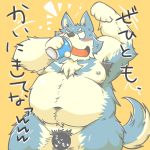  1:1 2014 anthro belly blue_body blue_fur blush canid canine canis domestic_dog fur hi_res japanese_text kemono male mammal moobs navel nipples overweight overweight_male pubes simple_background solo suishou0602 text 