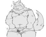  2015 anthro belly canid canine canis clothing domestic_dog genitals hi_res humanoid_genitalia humanoid_hands humanoid_penis kemono male mammal monochrome moobs navel overweight overweight_male penis pubes simple_background solo suishou0602 underwear white_background 