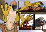 animal_genitalia beak blood bodily_fluids cannibalism cloaca crush death digital_media_(artwork) duo eating feathers fur genitals gore guts hair hard_vore intestines macro male male/male membrane_(anatomy) micro nude pain pirate_eagle sadism sequence simple_background size_difference snuff text torakuta vore webbed_hands 