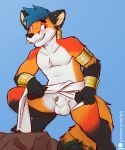  2020 anthro balls blush canid canine fox genitals hi_res iztli male mammal penis penis_tip presenting solo 