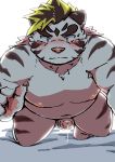  2020 absurd_res anthro belly blue_eyes blush felid fur genitals hi_res humanoid_genitalia humanoid_hands humanoid_penis kemono licho_(tas) male mammal moobs navel nipples overweight overweight_male pantherine penis pink_nose ptcmtr solo tiger tokyo_afterschool_summoners video_games white_body white_fur 