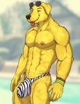  abs anthro athletic bojack_horseman bulge canid canine canis clothing domestic_dog dream_and_nightmare eyewear hi_res male mammal mr._peanutbutter muscular muscular_male netflix one_eye_closed solo sunglasses tongue tongue_out underwear wink 