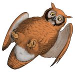  1:1 alpha_channel animal_genitalia avian beak bird border bubo_(genus) cloaca feathered_wings feathers fluffy genitals great_horned_owl looking_at_viewer moisteaglevent owl presenting smile transparent_border true_owl twiglet wings 