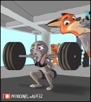  abs anthro black_border border canid canine canis clothed clothing disney duo exercise exercise_clothing female fox grey_body judy_hopps lagomorph leporid link6432 male mammal nick_wilde open_mouth rabbit simple_background weights workout zootopia 
