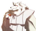  2020 abasirisippo anthro black_nose canid canine clothed clothing facial_markings fingers fox fur gingitsune gintaro head_markings holding_fruit male mammal markings scar simple_background solo white_background white_body white_fur 