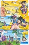  bulma_briefs chichi dragon_ball launch oolong passage puar son_goku yamcha 