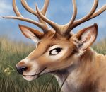 2020 antlers black_nose blep brown_body brown_eyes brown_fur bust_portrait capreoline cervid chewing_grass cloud day detailed_background digital_media_(artwork) eyebrows feral fur grass horn inner_ear_fluff kebi looking_at_viewer male mammal multicolored_body multicolored_fur narrowed_eyes outside portrait signature sky smile smirk smug solo tan_body tan_fur tongue tongue_out tuft whiskers white-tailed_deer white_body white_fur 