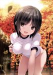  1girl absurdres autumn_leaves bangs bare_legs black_hair blush breasts brown_eyes coffee-kizoku day eyebrows_visible_through_hair hand_on_own_chest highleg highleg_leotard highres leaf leaning_forward leotard looking_at_viewer medium_breasts original outdoors scan shiny shiny_hair shiny_skin shiramine_rika short_hair short_sleeves smile solo thighs tree water white_leotard 
