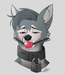 anthro ball_gag bdsm bondage bound canid canine canis collar digital_media_(artwork) fur gag gagged hair hi_res lindelon lock looking_at_viewer male mammal metal_collar padlock portrait simple_background solo submissive submissive_male tongue tongue_out wolf 