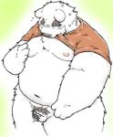  2017 anthro balls belly clothed clothing flaccid fur genitals hi_res humanoid_genitalia humanoid_hands humanoid_penis kemono male mammal moobs navel nipples open_shirt overweight overweight_male penis polar_bear shirt simple_background small_penis solo suishou0602 topwear ursid ursine white_body white_fur 