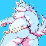  1:1 2015 anthro balls blue_background blue_body blue_fur blush bodily_fluids butt canid canine fur genitals humanoid_hands kemono male mammal overweight overweight_male scar simple_background solo suishou0602 sweat towel white_body white_fur 