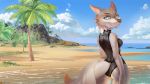  16:9 animal_humanoid anthro beach butt canid canid_humanoid canine canis clothing cloud darkflamewolf female hi_res humanoid mammal mammal_humanoid murana_wolford_(darkflame-wolf) palm_tree sand sea seaside sky solo swimwear tree unknown_artist water wave widescreen wolf 