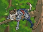 2019 4:3 anthro armor bo_(thelivingtrashcan) clothed clothing dungeons_and_dragons felid feline forest fully_clothed hasbro hi_res leopard_cat male mammal markings prionailurus sleeping solo tabaxi thelivingtrashcan tree tribal_markings wizards_of_the_coast 