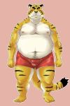  2009 2:3 anthro belly blush bulge clothing felid fur hi_res male mammal moobs navel nipples overweight overweight_male pantherine simple_background solo tiger umyuta underwear white_body white_fur yellow_body yellow_fur 