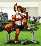  2016 4_toes abs anthro bra breasts brown_body brown_fur brown_hair brown_nose canid canine claws clothed clothing dipstick_tail dumbbell female fingerless_(marking) flexing fox fur green_body green_fur gym gym_shorts hair hi_res inner_ear_fluff inside lara_(daniel156161) mammal metallicumbrage mirror multicolored_body multicolored_fur multicolored_tail muscular muscular_female pink_eyes short signature sitting small_breasts solo tan_body tan_fur text toe_claws toeless_(marking) toes treadmill tuft underwear url watermark weight_bench weights white_body white_fur 