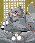  2009 anthro balls belly big_balls blush canid canine clothing fox fur genitals gingitsune gintaro male mammal overweight overweight_male penis robe sitting solo unknown_artist white_body white_fur 