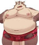  2016 anthro balls_outline belly brown_body brown_fur bulge canid canine fur genital_outline iwano kemono male mammal moobs navel nipples obese overweight overweight_male penis_outline simple_background solo white_background 