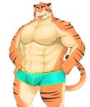  2016 anthro barazoku bulge clothing condom condom_in_mouth felid hi_res humanoid_hands iwano kemono male mammal muscular nipples pantherine pecs sexual_barrier_device simple_background solo tiger underwear white_background 