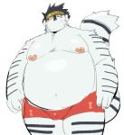  2016 anthro belly blush bulge clothing felid feline humanoid_hands iwano kemono male mammal moobs nipples overweight overweight_male simple_background solo underwear white_background 