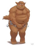  2013 3:4 anthro belly blush brown_body brown_fur canid canine canis domestic_dog fur hi_res humanoid_hands iwano kemono male mammal moobs navel nipples overweight overweight_male simple_background solo white_background 