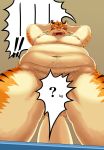  ! 2011 ? anthro belly convenient_censorship felid hi_res iwano kemono male mammal moobs navel nipples obese overweight overweight_male pantherine simple_background solo text tiger 