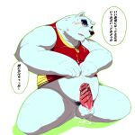  1:1 2013 anthro balls belly blush bodily_fluids censored clothing cum cum_on_face cum_on_ground cum_on_stomach erection fur genital_fluids genitals hi_res humanoid_genitalia humanoid_hands humanoid_penis japanese_text kemono klaskk male mammal overweight overweight_male penis polar_bear shirt solo text topwear ursid ursine white_body white_fur 