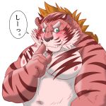  1:1 2017 anthro belly blush felid humanoid_hands japanese_text kemono male mammal moobs navel nipples overweight overweight_male pantherine portrait raichoclub simple_background solo text tiger white_background 