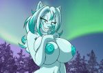  anthro areola aurora_borealis breast_implants breast_squish breasts canid eyebrow_through_hair eyebrows eyelashes fake_breasts female hair hi_res holding_breast mammal night_sky nipples sky solo squish star starry_sky teeth translucent translucent_hair vinfox 