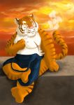  2014 anthro belly detailed_background felid hi_res humanoid_hands kemono male mammal outside pantherine pink_nose raichoclub scar sitting solo tiger 