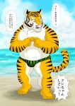  2014 anthro beach belly clothing felid fur hi_res humanoid_hands japanese_text kemono male mammal outside overweight overweight_male pantherine pink_nose raichoclub seaside solo swimwear text tiger water white_body white_fur 