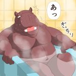 1:1 2016 anthro bathing belly bodily_fluids hippopotamid humanoid_hands japanese_text kemono male mammal navel overweight overweight_male raichoclub sitting solo sweat text water 