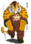  2016 anthro bodily_fluids bottomwear carrying clothing duo eyes_closed felid human humanoid_hands kemono male mammal pantherine pants pink_nose raichoclub robe simple_background slightly_chubby sweat tiger white_background 