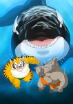  2014 anthro belly black_body canid canine canis cetacean clothing delphinoid felid feral group hi_res humanoid_hands kemono male mammal marine moobs oceanic_dolphin orca pantherine raichoclub scared swimwear tiger toothed_whale underwater water white_body wolf 
