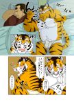  ! 2016 ? anthro balls_outline bed bedding blanket blush bulge clothing comic duo eyes_closed felid fur furniture genital_outline human japanese_text kemono lying male mammal pantherine penis_outline pillow pink_nose raichoclub scar sleeping slightly_chubby text tiger translation_request underwear white_body white_fur 