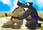  2015 anthro black_body bodily_fluids brown_body brown_fur butt cetacean delphinoid duo fur humanoid_hands kemono male mammal marine oceanic_dolphin orca overweight overweight_male raichoclub suid suina sumo sus_(pig) sweat toothed_whale white_body wild_boar 