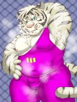  2018 anthro belly bulge cute_fangs felid fur hi_res humanoid_hands kemono male mammal moobs nipples overweight overweight_male pantherine pink_nose raichoclub solo tiger white_body white_fur wrestling_singlet 