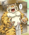  2018 anthro balls belly bulge clothing erection erection_under_clothing eyes_closed felid genitals hi_res humanoid_genitalia humanoid_hands humanoid_penis japanese_text kemono male mammal moobs navel nipples overweight overweight_male pantherine penis raichoclub solo text tiger towel 