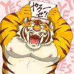  ! 1:1 2018 anthro belly felid humanoid_hands japanese_text kemono male mammal moobs nipples overweight overweight_male pantherine pink_nose raichoclub solo text tiger 