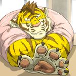  1:1 2018 anthro clothing eyes_closed felid kemono male mammal pantherine pink_nose raichoclub shirt sleeping slightly_chubby solo tiger topwear 