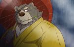  2018 anthro clothing eye_patch eyewear humanoid_hands kemono leaf male mammal outside overweight overweight_male portrait raichoclub raining robe solo umbrella ursid 