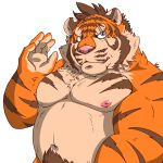  1:1 2018 anthro belly blue_eyes felid humanoid_hands kemono male mammal moobs navel nipples overweight overweight_male pantherine pubes raichoclub scar simple_background solo tiger white_background 
