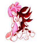  amy_rose shadow_the_hedgehog sonic_team tagme 