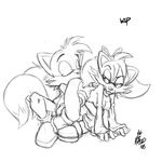  archie_comics fiona_fox mel_the_hybrid sonic_team tails 