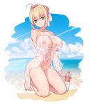  breast_hold fate/grand_order jason_dai nipples saber_extra see_through wet 