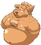  2020 anthro belly brown_body brown_fur fur hi_res kemono male mammal moobs navel nipples overweight overweight_male simple_background solo suishou0602 ursid white_background 