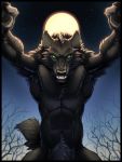  alternate_version_at_source anthro black_body black_fur canid canine detailed_background digital_media_(artwork) fur green_eyes hi_res kahito-slydeft looking_at_viewer male mammal moon outside sky solo standing star teeth tree were werecanid werecanine werewolf 