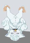  absurd_res alolan_vulpix anonymous_artist bell blush bodily_fluids chastity_cage chastity_device collar crying feral hi_res legs_in_air male nintendo pok&eacute;mon pok&eacute;mon_(species) regional_form_(pok&eacute;mon) solo tears upside_down video_games 